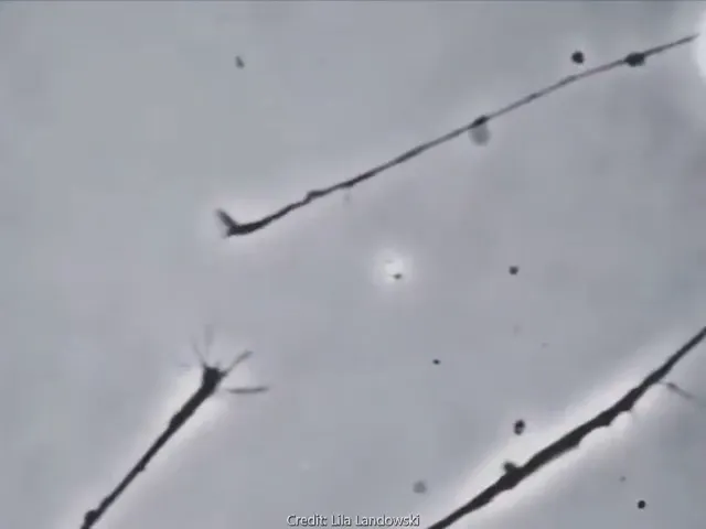 Как будут мгновенно подтверждать вашу платёжеспособность